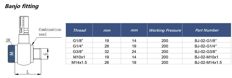 specification of test hose with end fittings of banjo connection